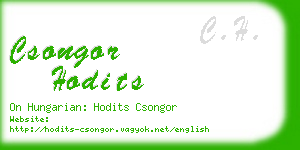 csongor hodits business card